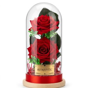 باکس گل شیشه ای رز سرخ
